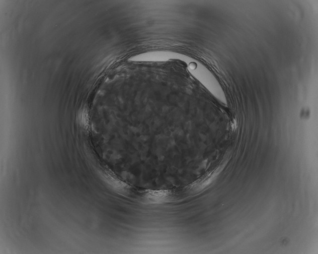 X0000095130143200712301833