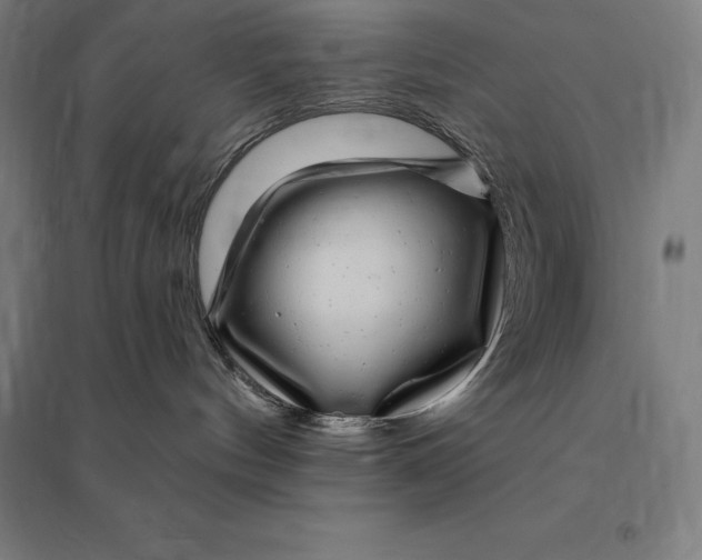 X0000095130144200712301833