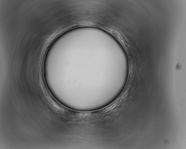 X0000095130145200712301832