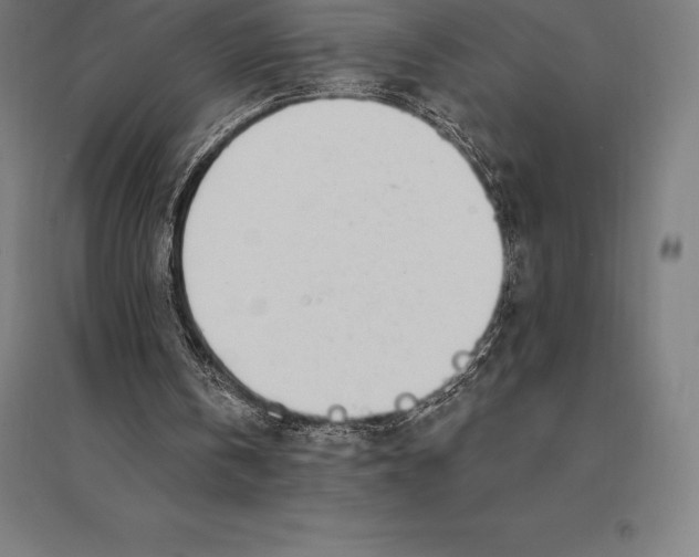 X0000095130146200712301832