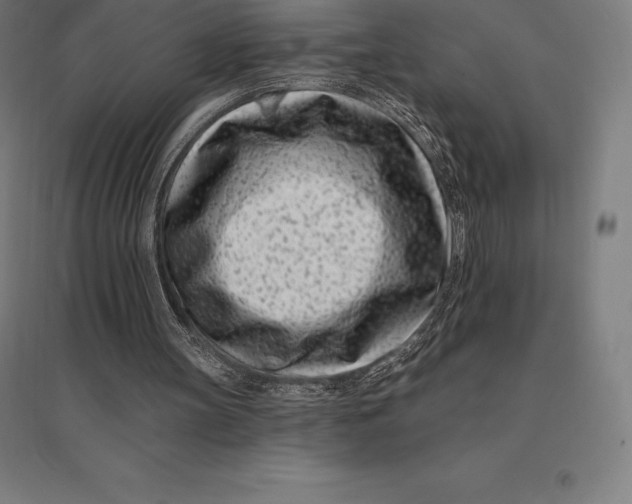 X0000095130147200712301832