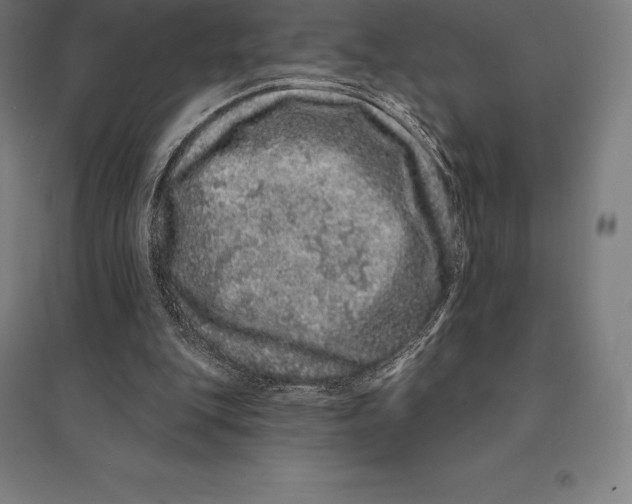 X0000095130151200712301832