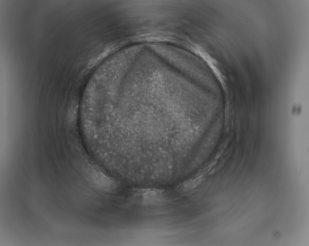 X0000095130153200712301832