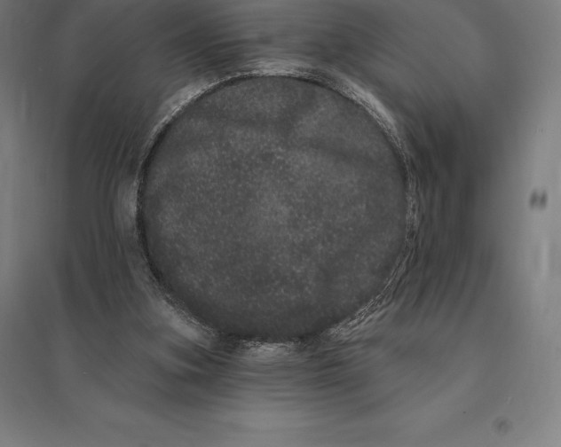 X0000095130155200712301832