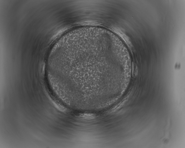 X0000095130157200712301832