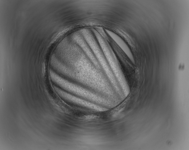 X0000095130158200712301832