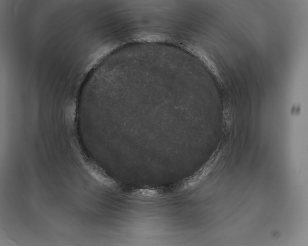 X0000095130159200712301832