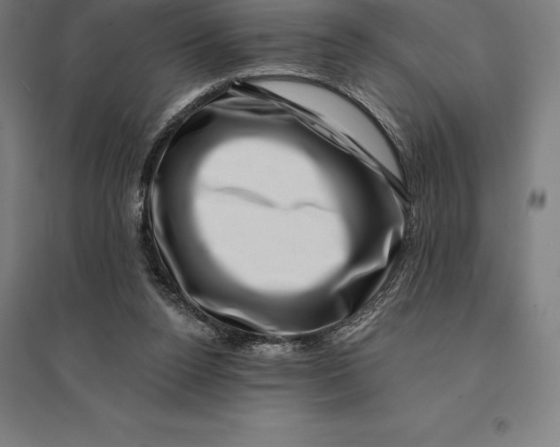 X0000095130160200712301832