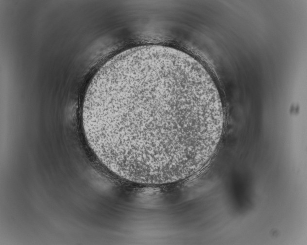 X0000095130162200712301832