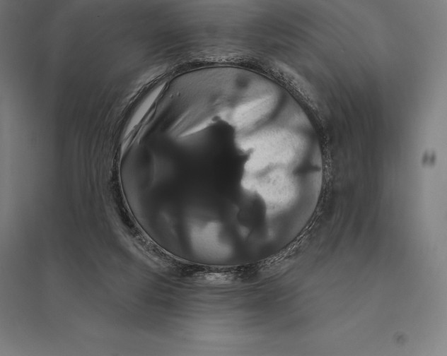 X0000095130163200712301832