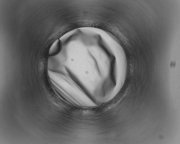 X0000095130165200712301832