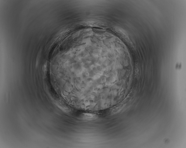 X0000095130167200712301832