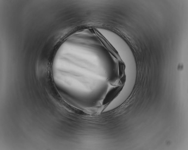 X0000095130168200712301832