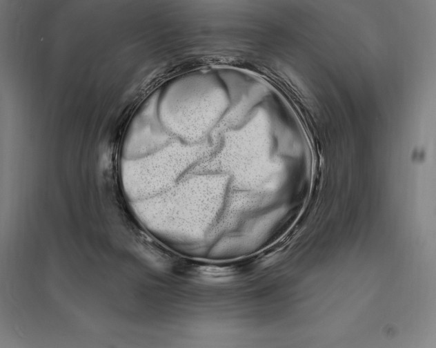 X0000095130169200712301832