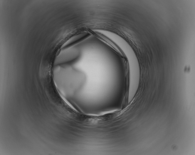 X0000095130172200712301832