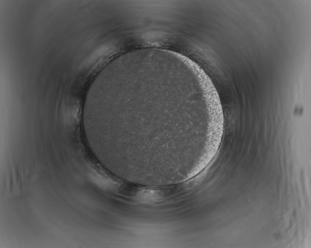 X0000095130174200712301832