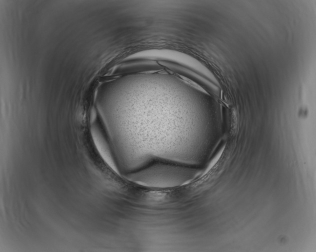 X0000095130176200712301833