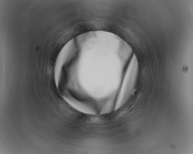 X0000095130177200712301833