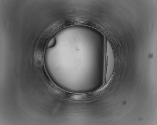 X0000095130178200712301833