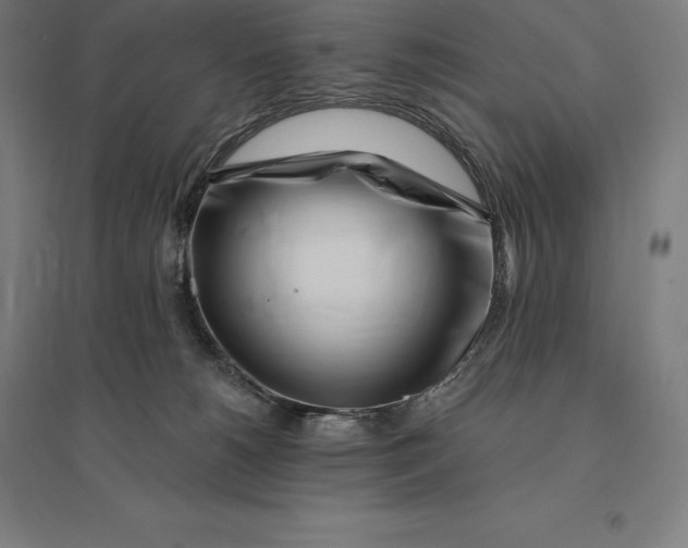 X0000095130180200712301833