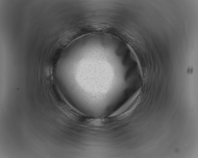 X0000095130182200712301833