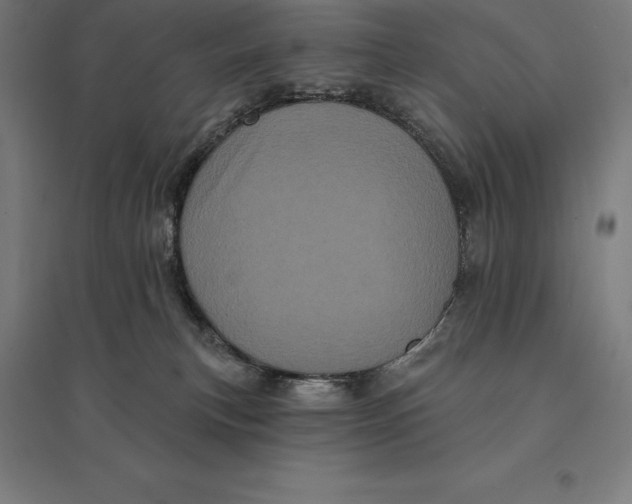 X0000095130183200712301833