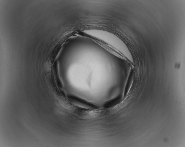 X0000095130184200712301833