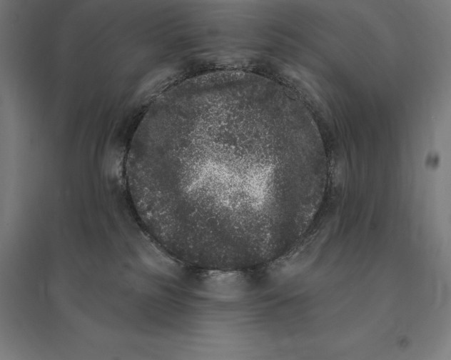 X0000095130185200712301833