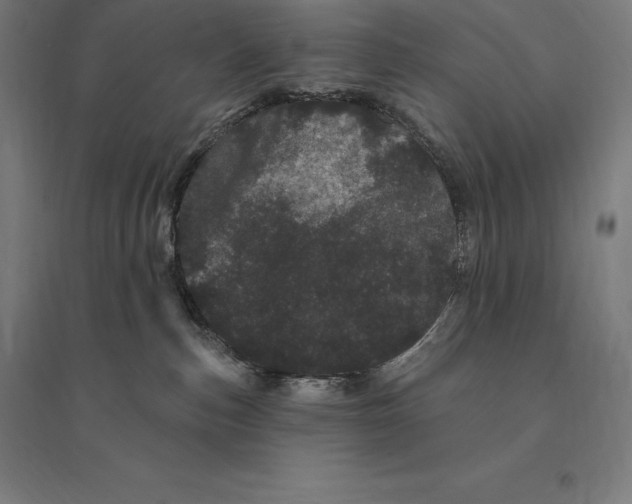 X0000095130187200712301833