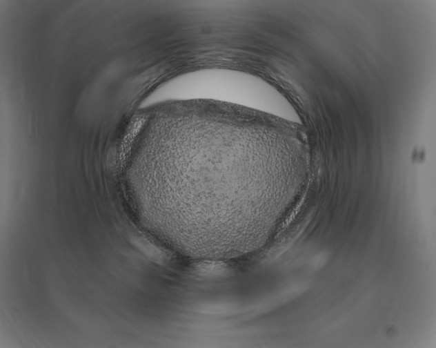 X0000095130189200712301833