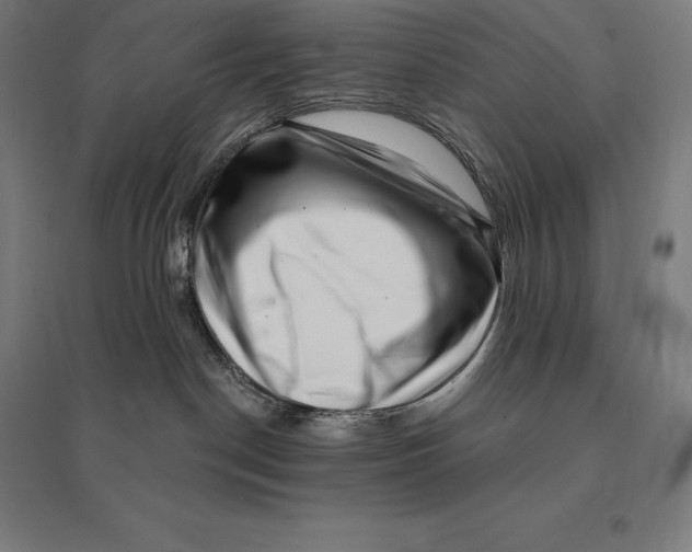 X0000095130190200712301833