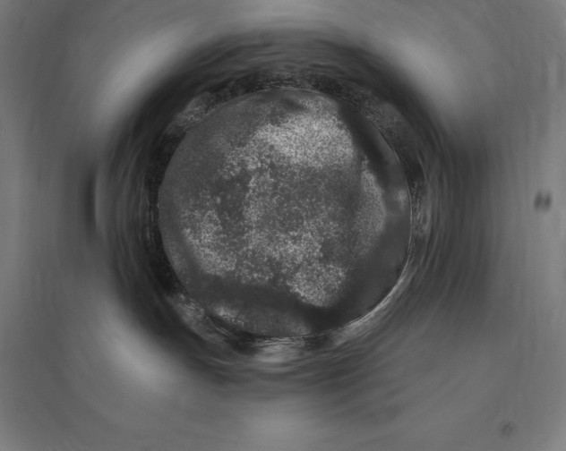 X0000095130191200712301833