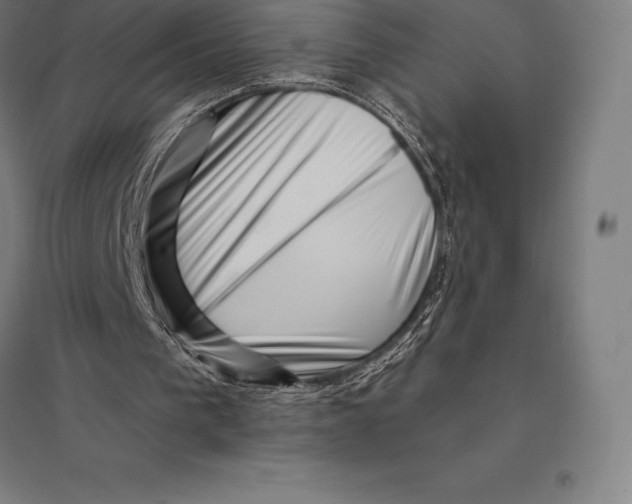 X0000095130193200712301832