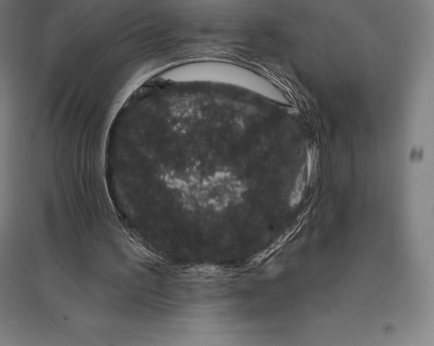 X0000095130195200712301832