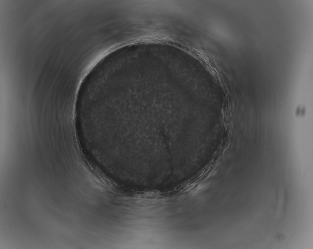 X0000095130196200712301832