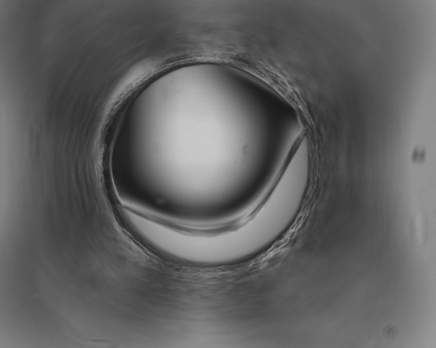 X0000095130197200712301832