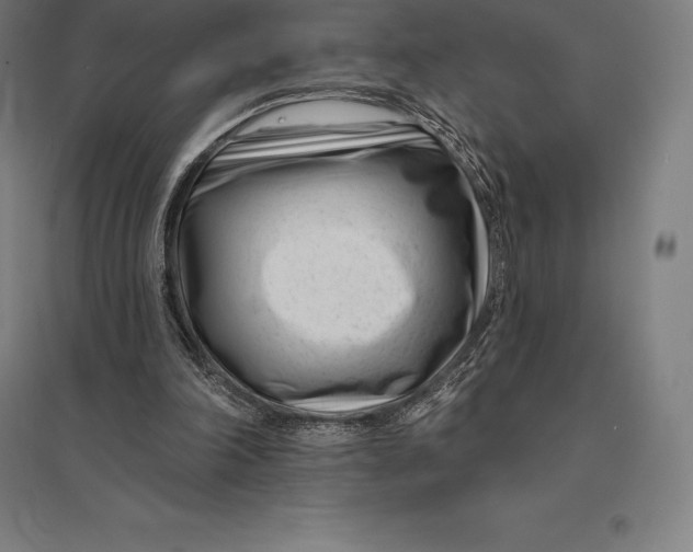 X0000095130198200712301832