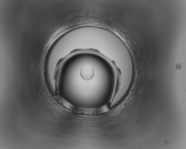 X0000095130199200712301832