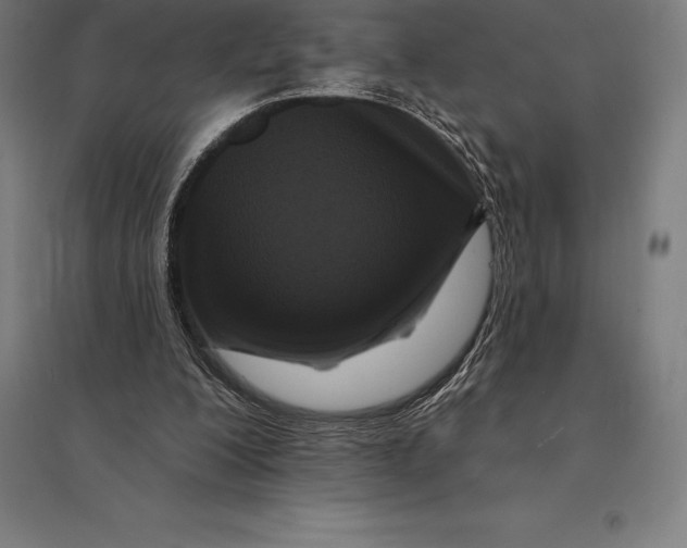 X0000095130200200712301832