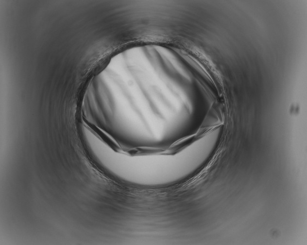 X0000095130201200712301832