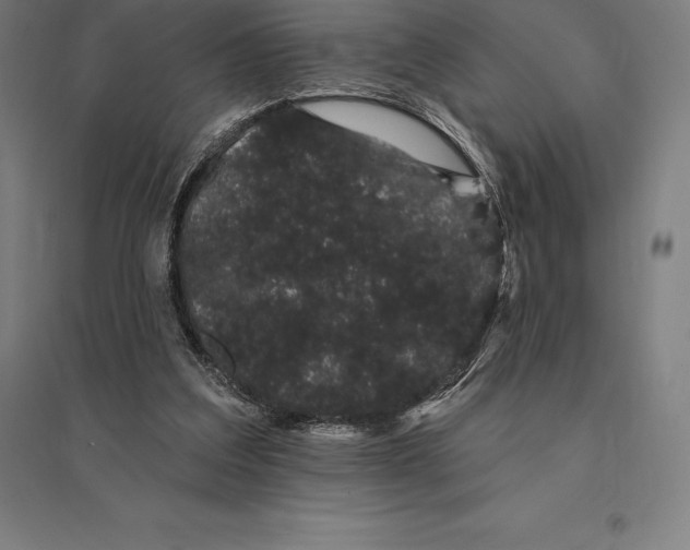 X0000095130203200712301832