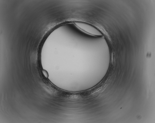 X0000095130204200712301832