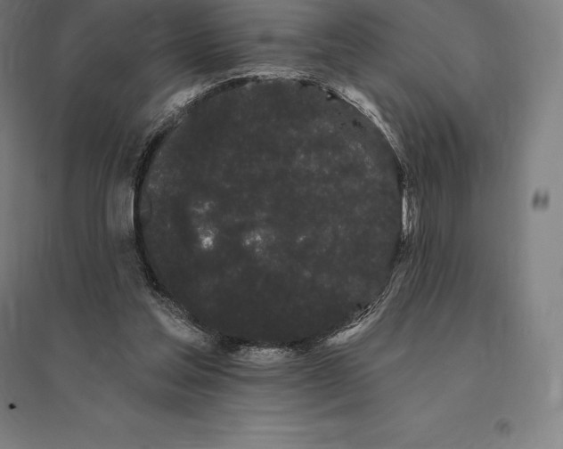 X0000095130205200712301832