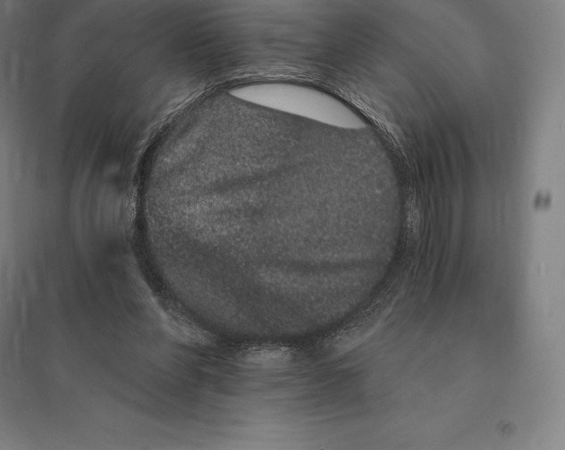 X0000095130206200712301832