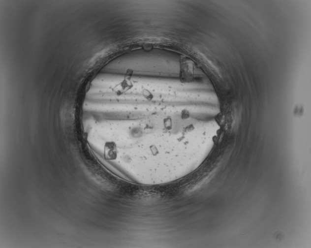 X0000095130207200712301832