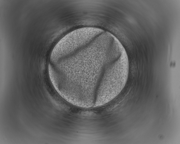 X0000095130208200712301832