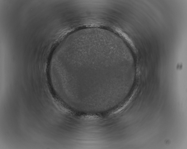 X0000095130209200712301832