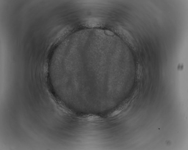 X0000095130210200712301832