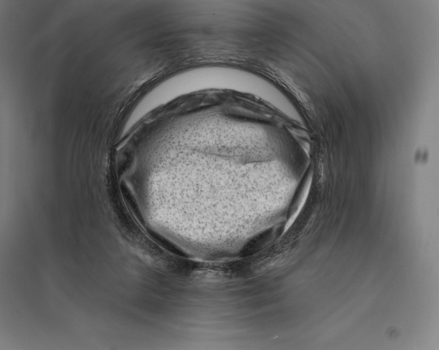 X0000095130211200712301832