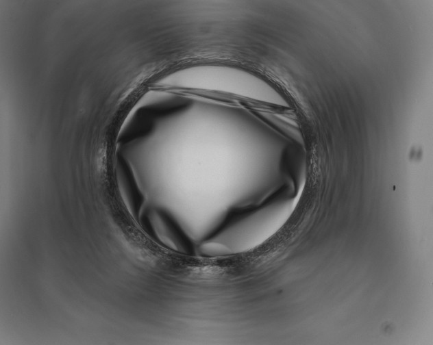 X0000095130212200712301832